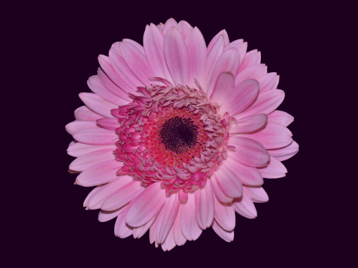 430122 (a): :1600x1200